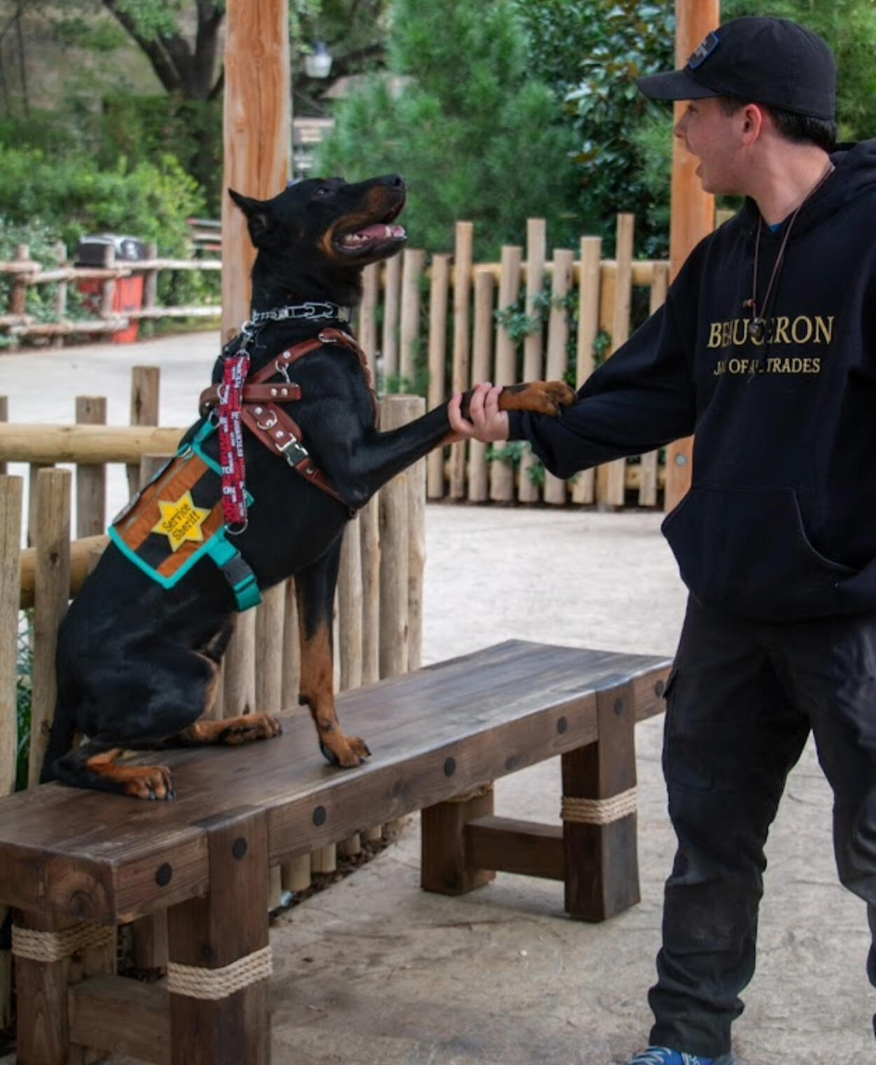 Luke and Cowboy - Services