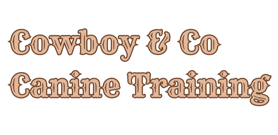 Cowboy & Co Canine Training Cowboy & Co Canine Training Title