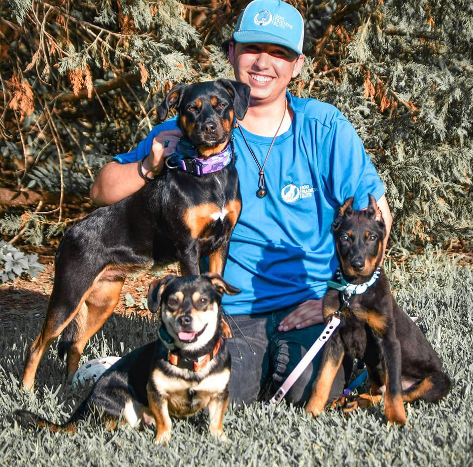 Luke and Cowboy - Services